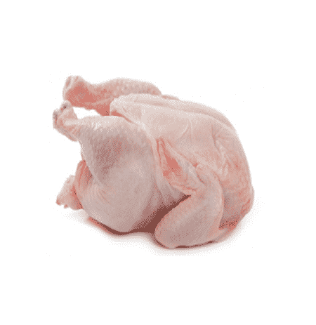 Poulet pondeuse