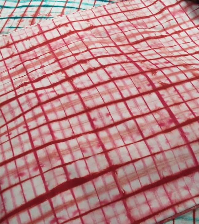 Pagne indigo - rouge grillage